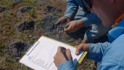 Seismic Testing